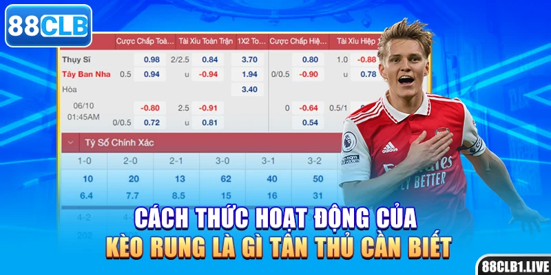 Cách thức hoạt động của kèo rung là gì tân thủ cần biết